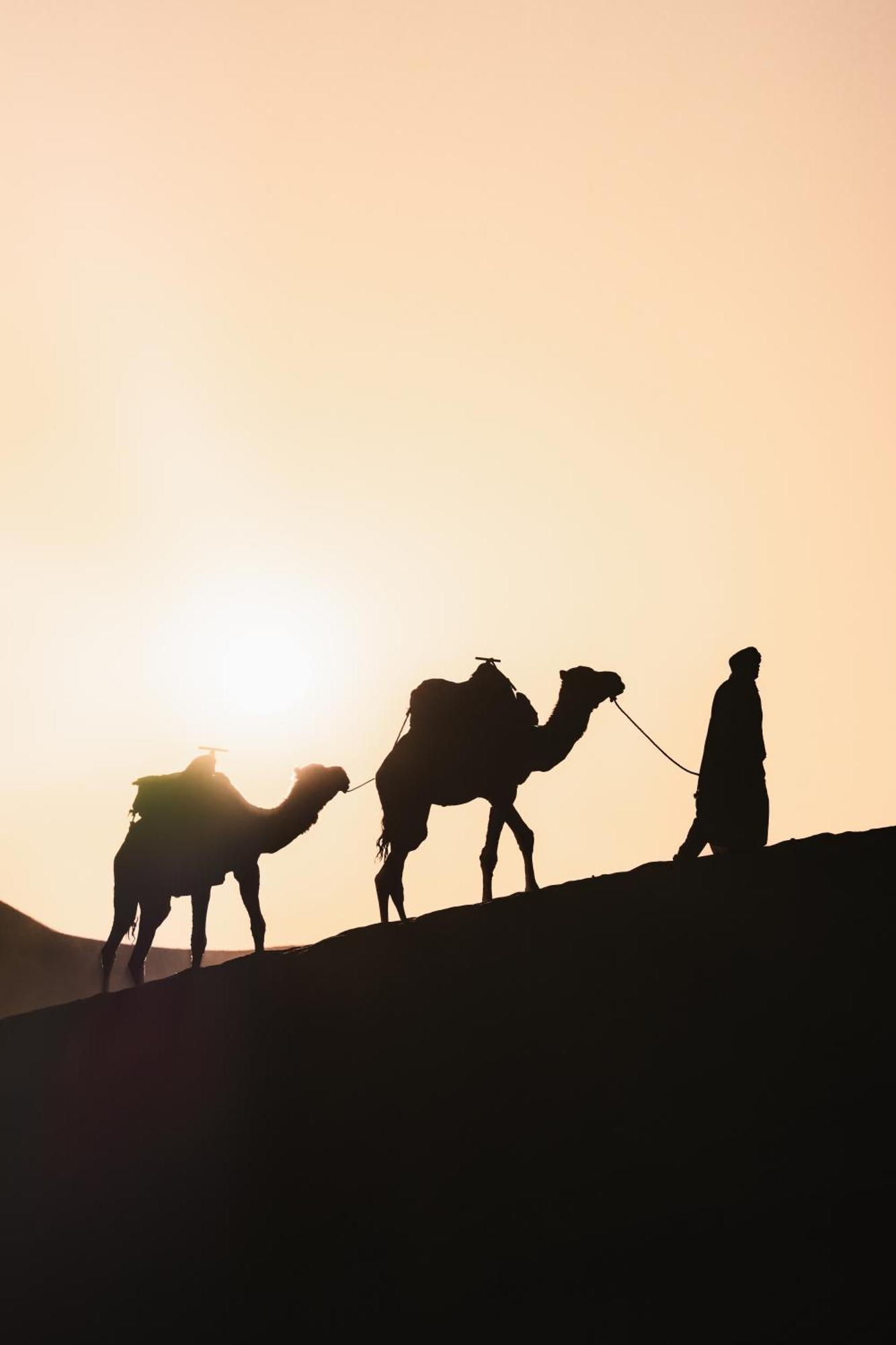 Royal Luxury Camp Ξενοδοχείο Merzouga Εξωτερικό φωτογραφία