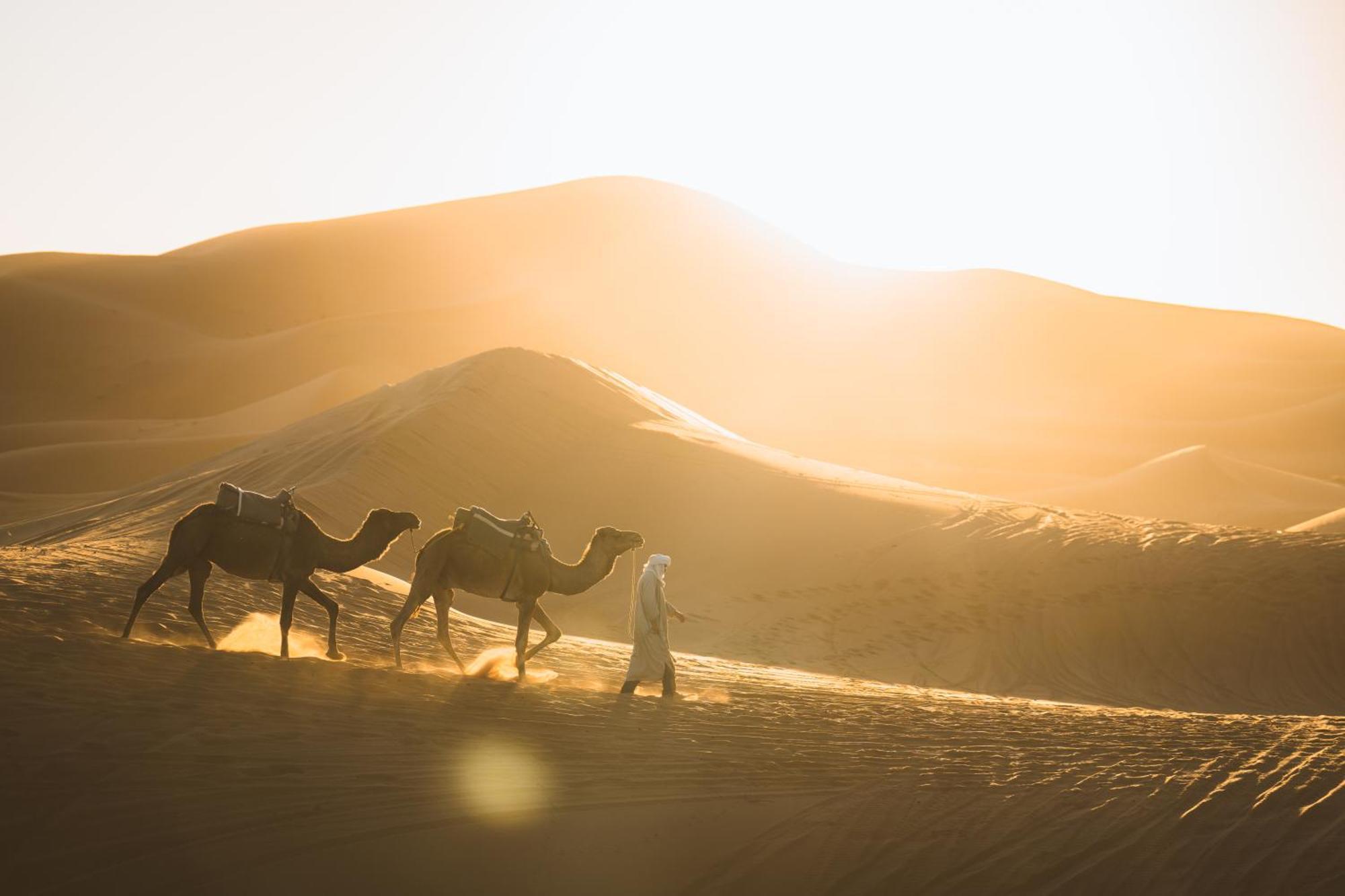 Royal Luxury Camp Ξενοδοχείο Merzouga Εξωτερικό φωτογραφία