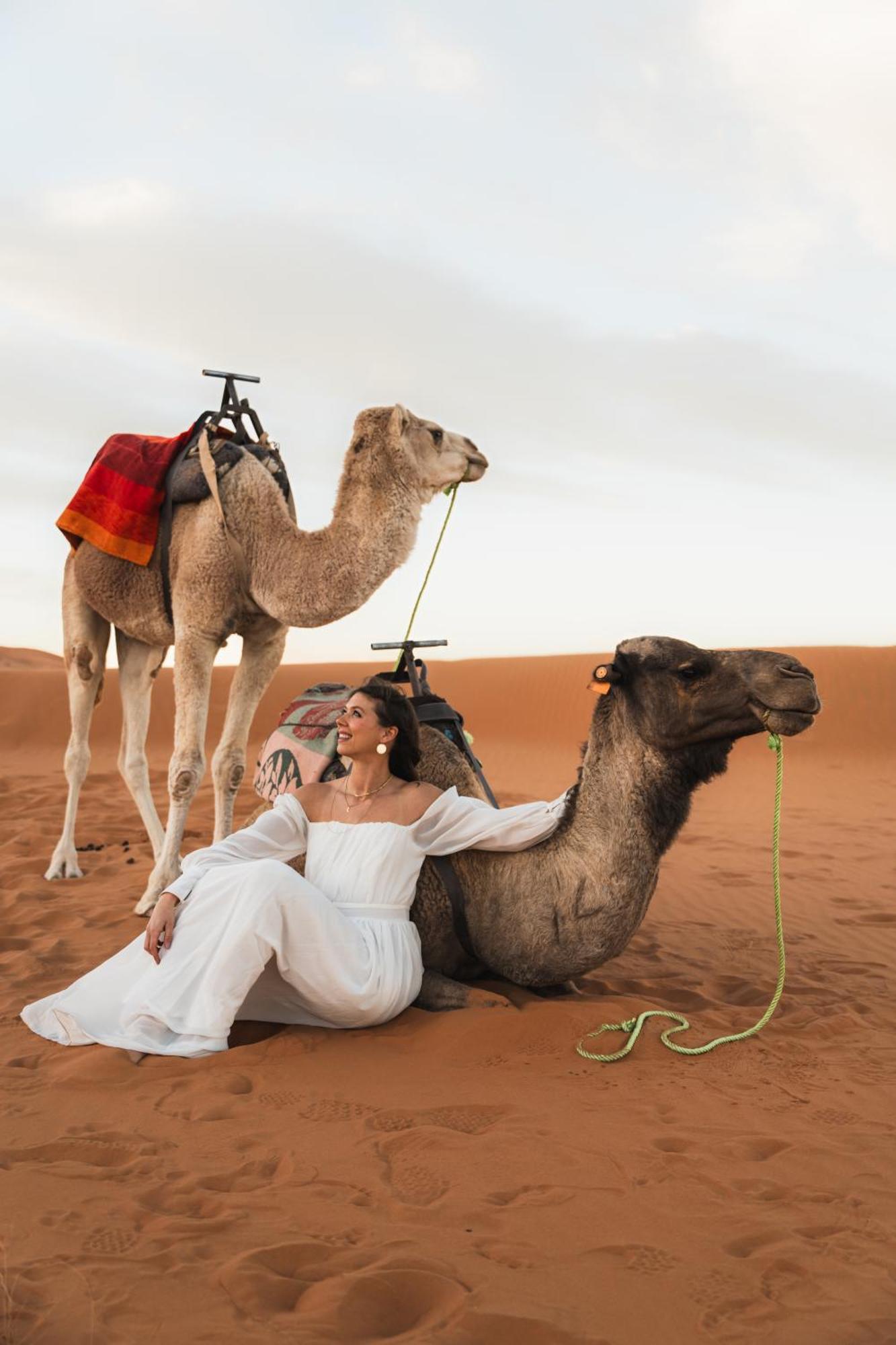 Royal Luxury Camp Ξενοδοχείο Merzouga Εξωτερικό φωτογραφία